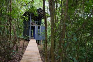 Yatama Rainforest Ecolodge - Sarapiquí - 0