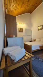 Vila Crinilor - Călimăneşti - 5