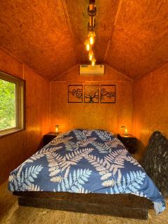 Tnak Dream House - 2