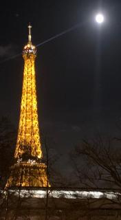 New! Apartment Luxury Passy-Kennedy in front of Eiffel Tower - Parijs - 2