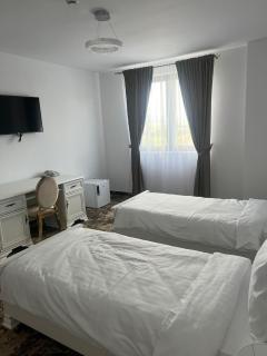 Casa Domeniile Vinului - Aiud - 3