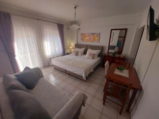 Eleni's Apartments Igoumenitsa - Γκαρσονιέρα 1ου ορόφου επιπλωμένη, εξοπλισμένη - 9
