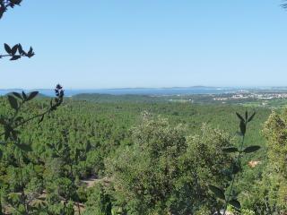 La Londe -Studio T1 - Sur la colline - La Londe-les-Maures - 0