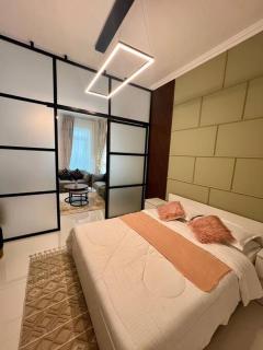 2-BHK Apartment -Modern Interior - Dubai - 2
