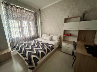 Center Cozy Apartment - Bischkek - 0