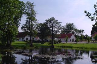 Lille Grynborg - Blommenslyst - 9