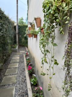 Flat das flores - Garanhuns - 1