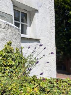 Charming Cornwall Cottage - 5