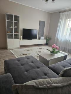 Tommy Home - Hunedoara - 0