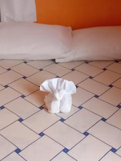 Linstead AirB&B Crescent Avenue - 1
