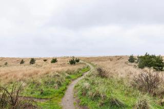 Sand Dollar Haven at Seaside Beach Club Unit 306 - 4