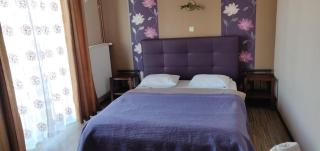 Pension Regent Green Leaf - 3