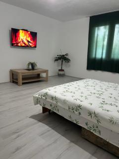 Apartman Soni Jagodina - Kolonije - 1