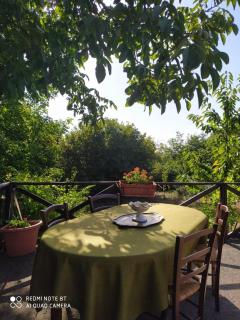 La Rosa antica dell'Etna - Puntalazzo - 9