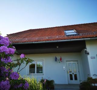 Aparthotel "Goldener Hahn Apartments" - Bad Waltersdorf - 1