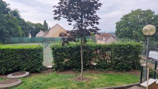 Appartement lumineux en duplex avec terrasse et jardin - 3