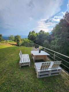 ZenHouseApartment - Ljubno - 3