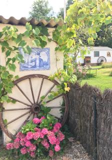 Gîte pura vida - Périssac - 0