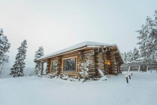 Luxury Log Villa by Invisible Forest Lodge - 5