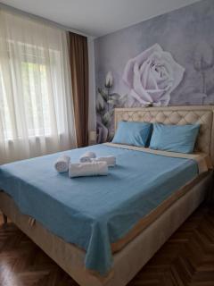 Apartment Holiday - Vrnjačka Banja - 6
