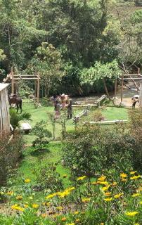 Glamping la veranera - San Vicente - 6