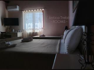L' Antica Trebbia - Rooms - Caltanissetta - 7