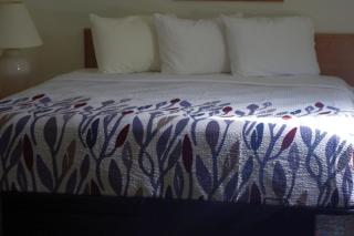 Selby Motel - Selby - 2