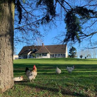 Domaine de La Charmille - 2