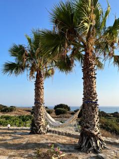 Aktea Apartments II - Kefalos - 7