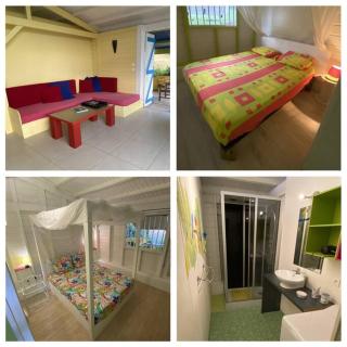 Cottage créole dans jardin tropical - 4