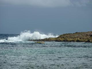 Les Jardins des Balisiers - 9