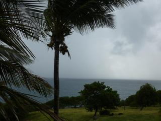 Les Jardins des Balisiers - 8