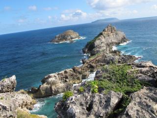 Les Jardins des Balisiers - 7