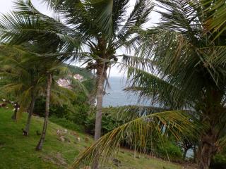 Les Jardins des Balisiers - 2