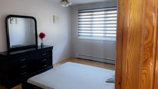 Cozy apartment in Montreal - Montreal - 7