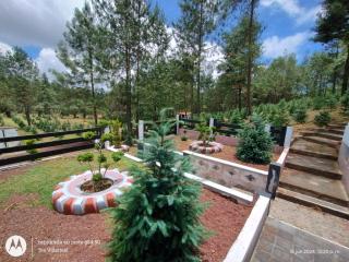 Rancho El Plantel - - 8