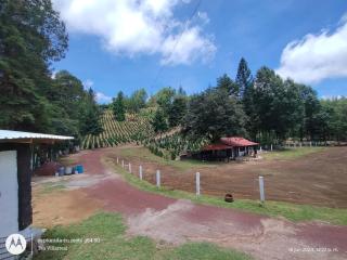 Rancho El Plantel - - 3