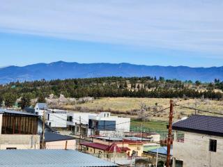 VillA Ivertubani - Tiflis - 9