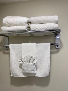 Quality Inn & Suites Goodyear - Phoenix West - Goodyear - 7