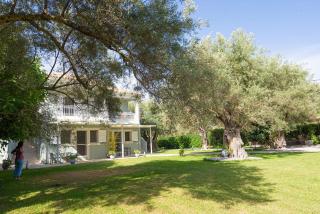 ELAIA - Apartments & Studios - Città di Lefkada - 0
