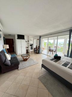 Charmant studio vue mer imprenable, proche plage - Le Gosier - 5