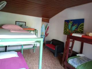 OSA SURF House - Puerto Jiménez - 6