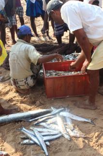 Fishermens Lodge & Restaurant - 1