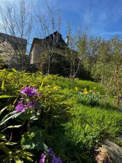 nature Aubrac - Les Salces - 9