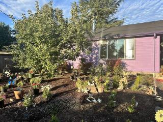 Faerie Hollow - 4