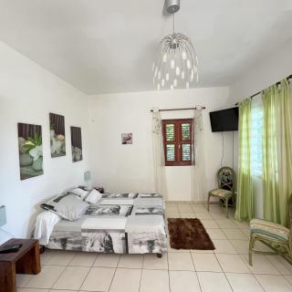 SAPHIR-Villa Le Colibri - Dubédou - 4