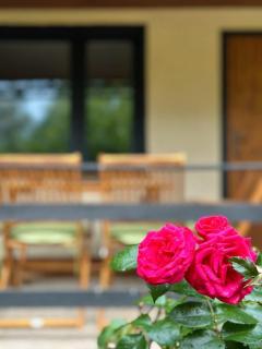 Spreewald-Hideaway, Bungalow mit Pool und Kamin - 3