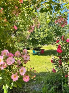 Mosel Urlaub Stabenhof - Whirlpool, Natur und Grill - Brodenbach - 7