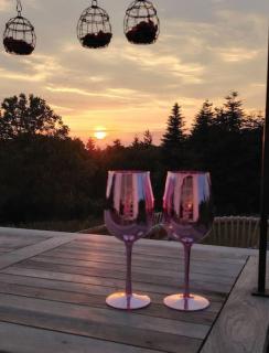 Mosel Urlaub Stabenhof - Whirlpool, Natur und Grill - Brodenbach - 5