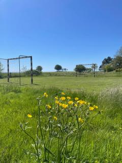 Marstal Camping - Marstal - 5